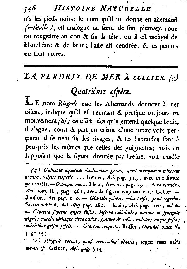 La Perdrix de mer à collier.