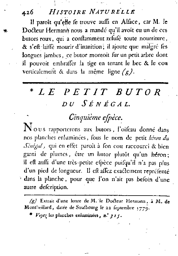 Le petit Butor du Sénégal.