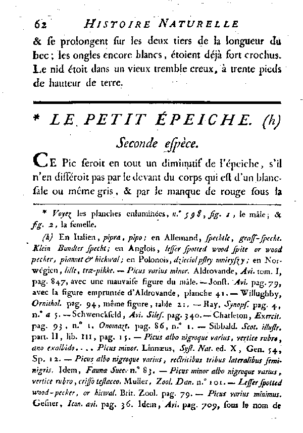 Le petit épeiche.