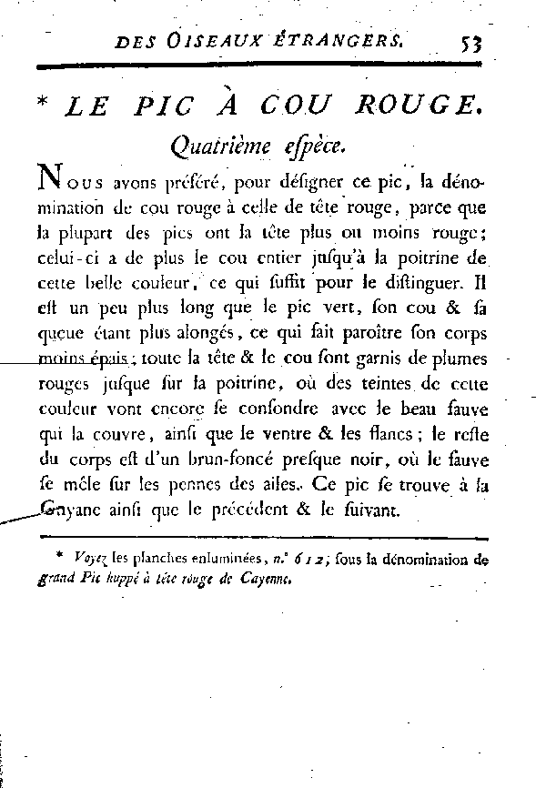 Le Pic à cou rouge.