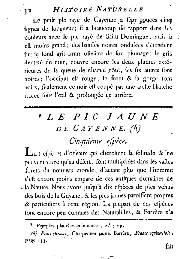 Le Pic jaune de Cayenne.