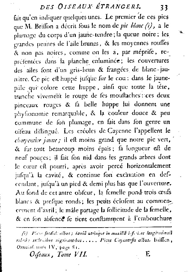 Le Pic jaune de Cayenne.