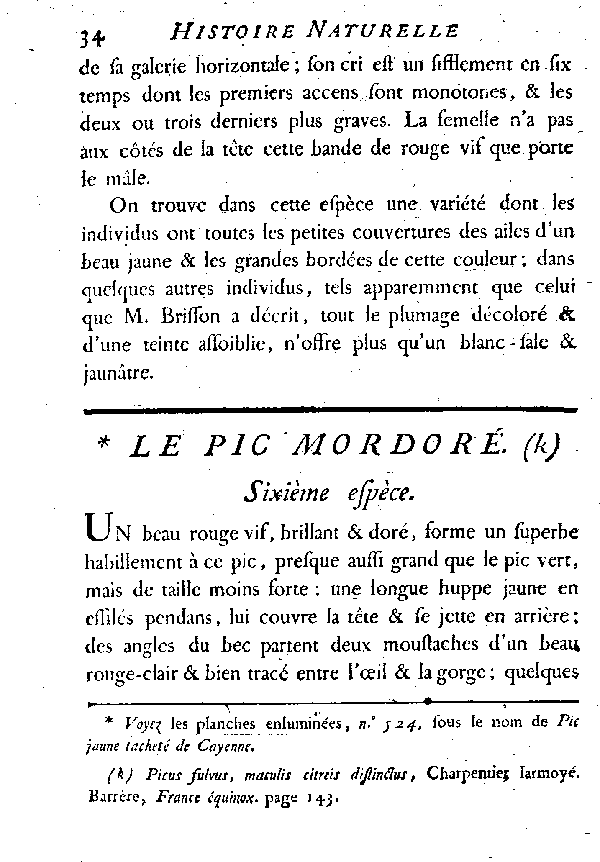 Le Pic mordoré.