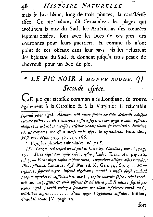 Le Pic noir à huppe rouge.