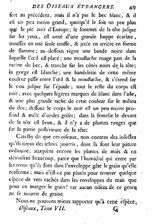 Le Pic noir à huppe rouge.