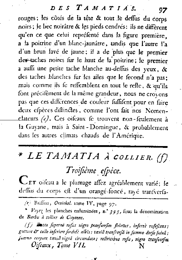 Le Tamatia à collier.