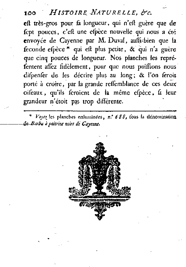 Les Tamatias noirs et blancs. Cinquième et s.