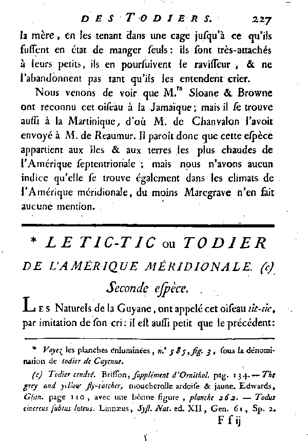 Le Tic-tic ou Todier de l'Amérique méridionale.