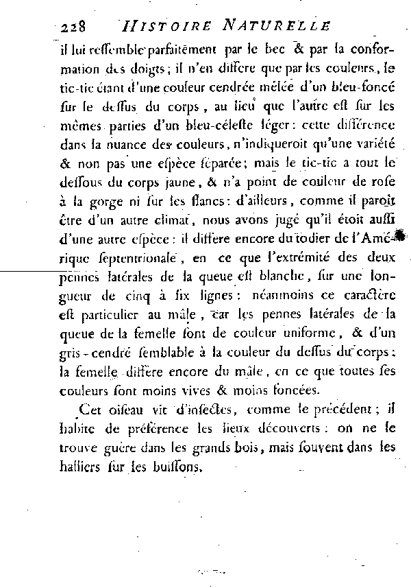 Le Tic-tic ou Todier de l'Amérique méridionale.