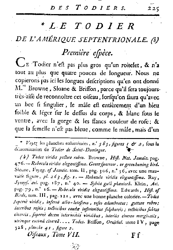 Le Todier de l'Amérique septentrionale.