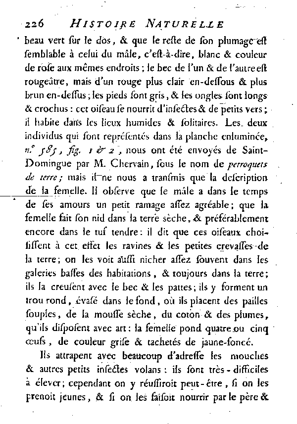 Le Todier de l'Amérique septentrionale.