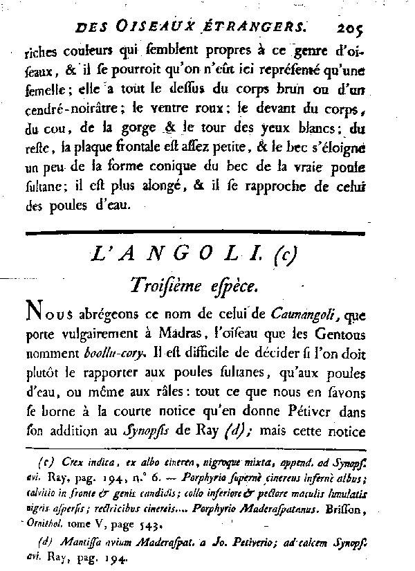 L'Angoli.