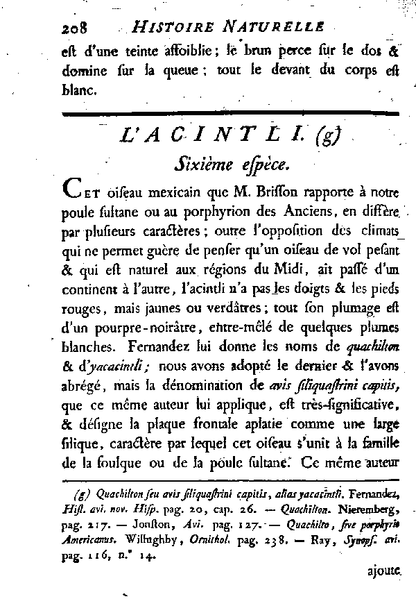 L'Aointli.