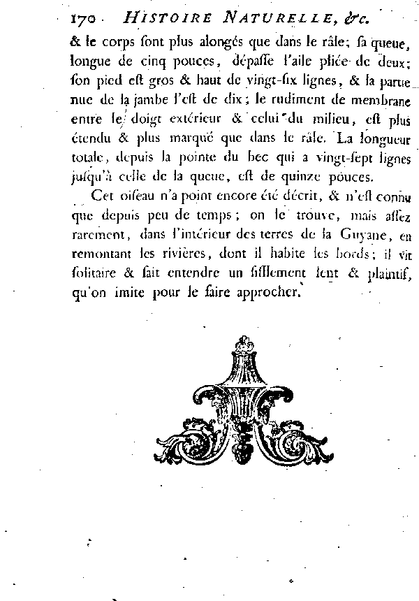 LE CAURâLE ou petit Paon des roses.