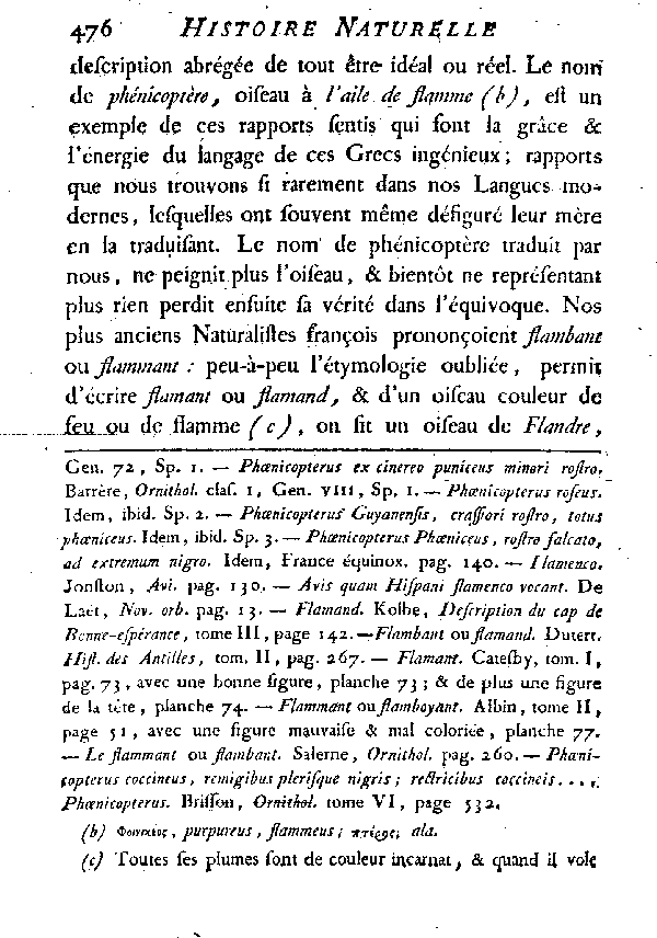 LE FLAMMANT ou LE PHéNICOPTèRE.