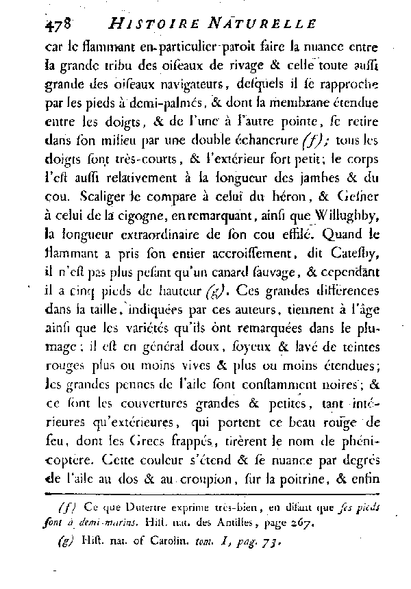 LE FLAMMANT ou LE PHéNICOPTèRE.