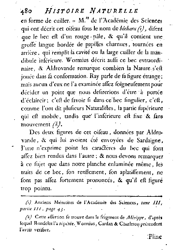 LE FLAMMANT ou LE PHéNICOPTèRE.