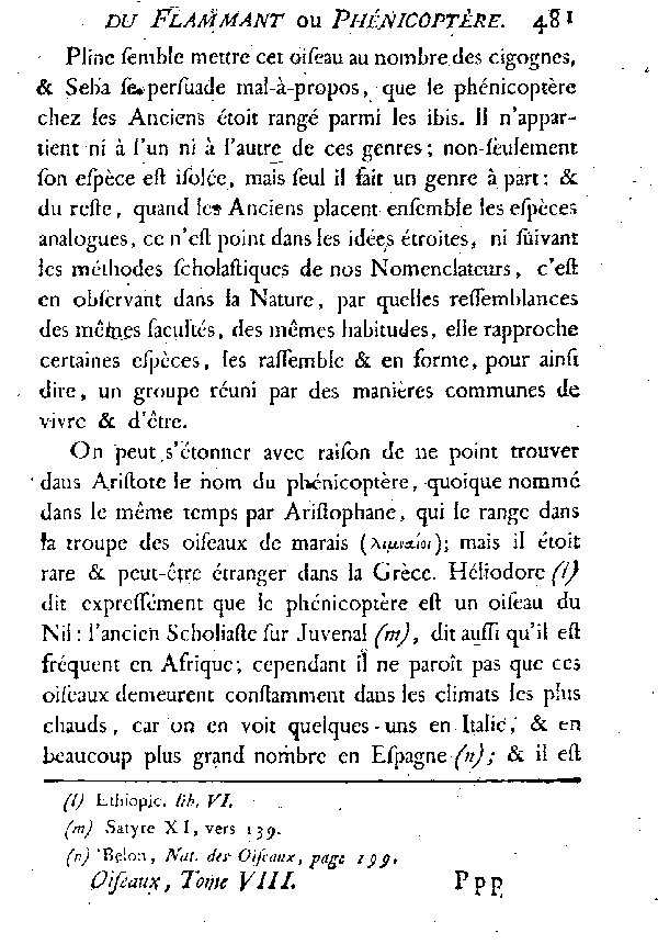 LE FLAMMANT ou LE PHéNICOPTèRE.