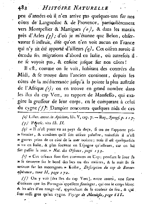 LE FLAMMANT ou LE PHéNICOPTèRE.