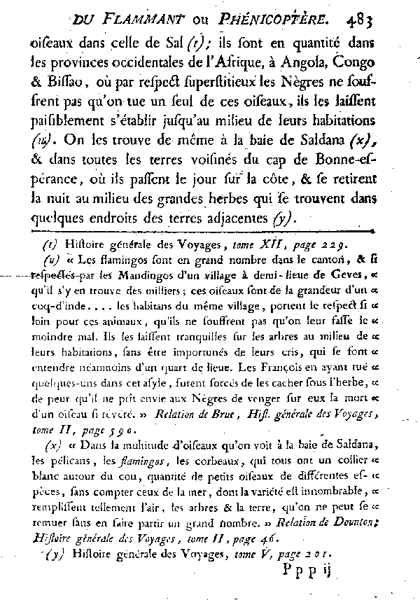 LE FLAMMANT ou LE PHéNICOPTèRE.