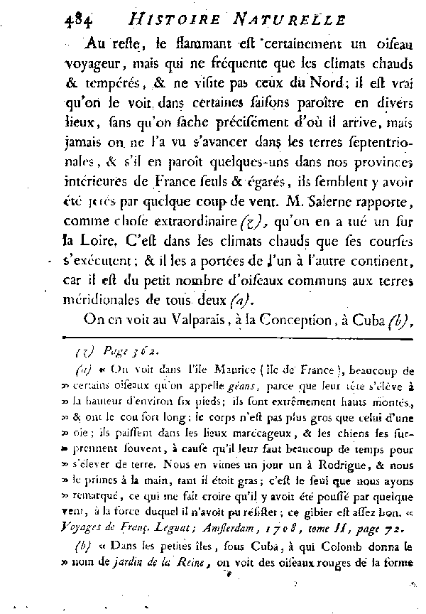 LE FLAMMANT ou LE PHéNICOPTèRE.