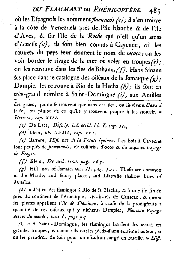 LE FLAMMANT ou LE PHéNICOPTèRE.