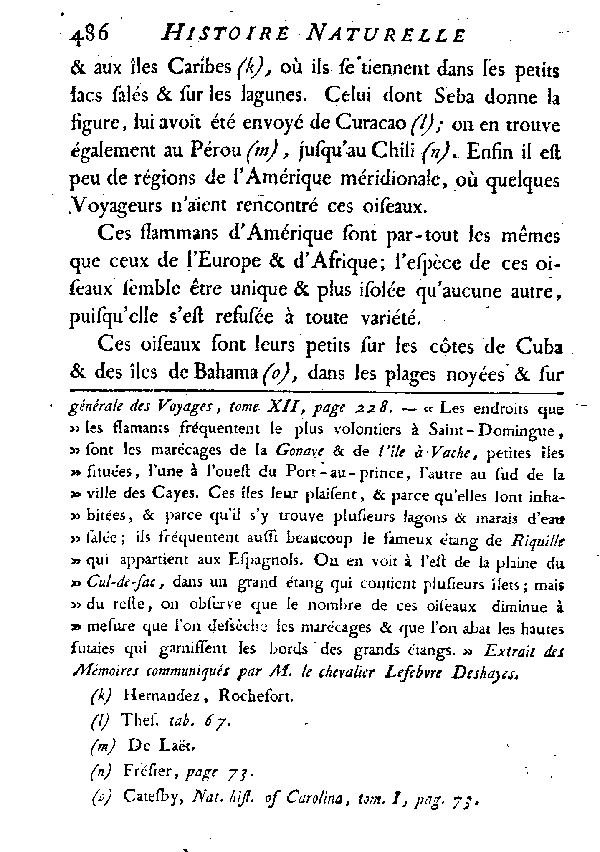 LE FLAMMANT ou LE PHéNICOPTèRE.