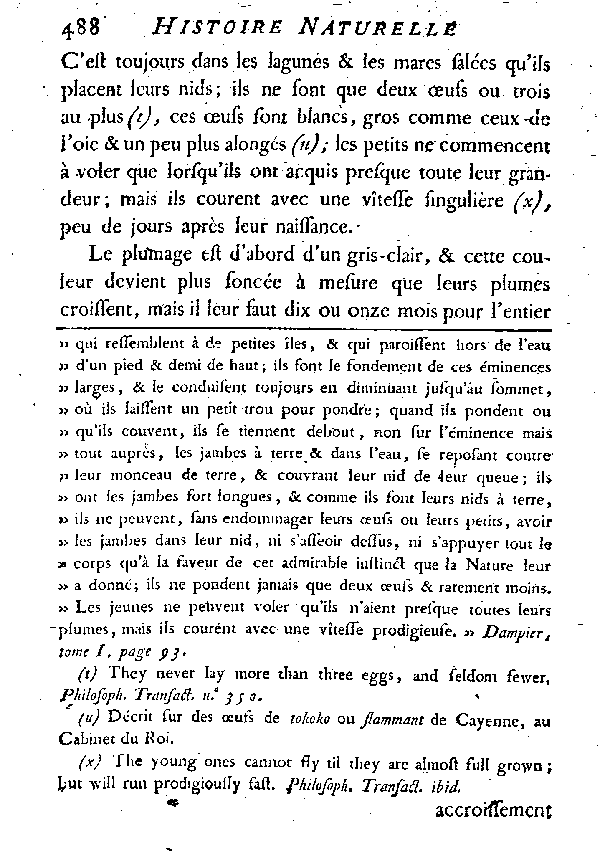 LE FLAMMANT ou LE PHéNICOPTèRE.