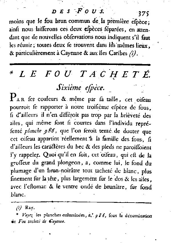 Le Fou tacheté.