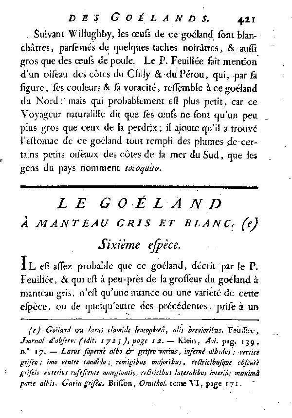 Le Goéland à manteau gris et blanc.