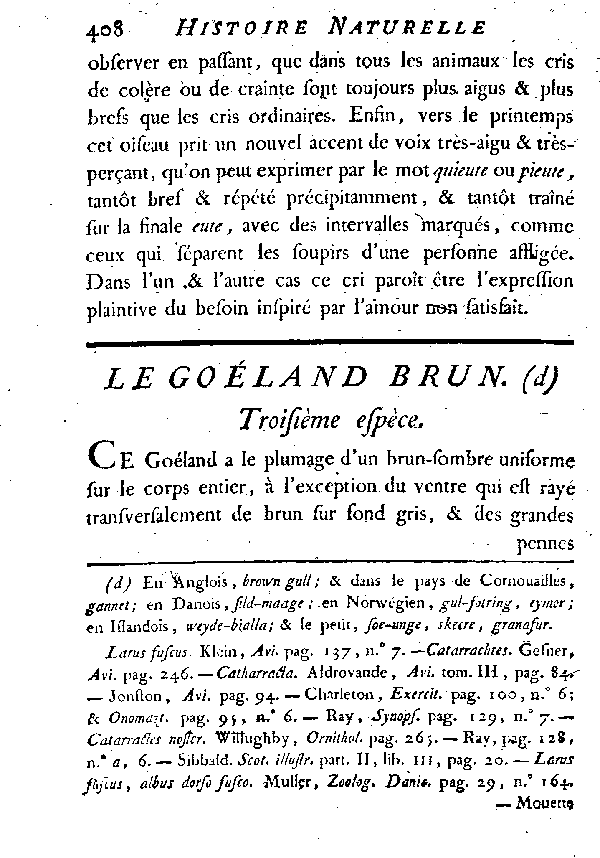 Le Goéland brun.