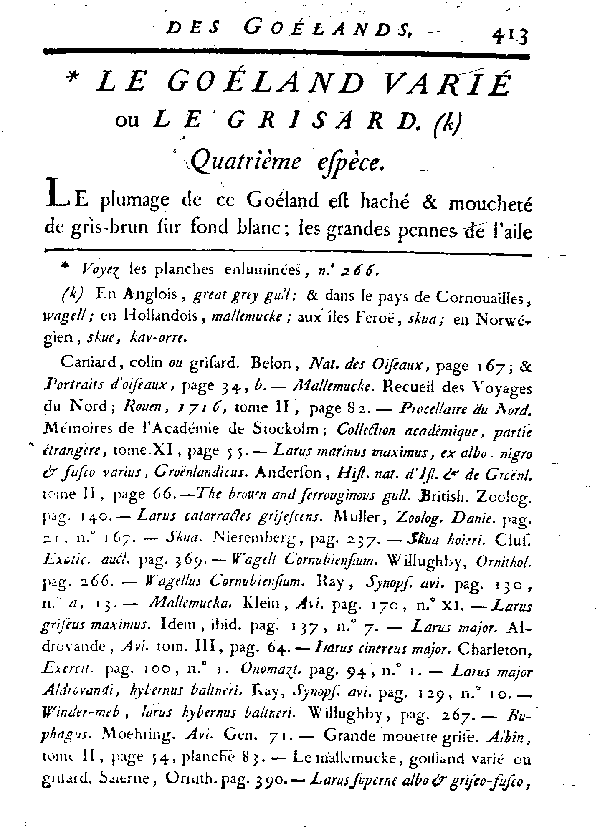 Le Goéland varié ou le Grisard.