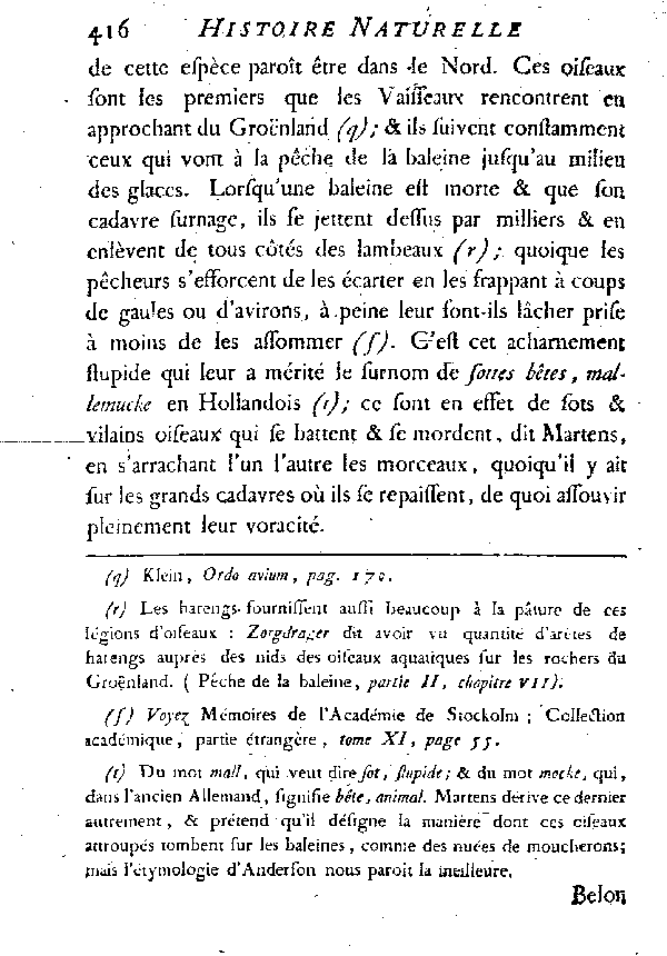 Le Goéland varié ou le Grisard.