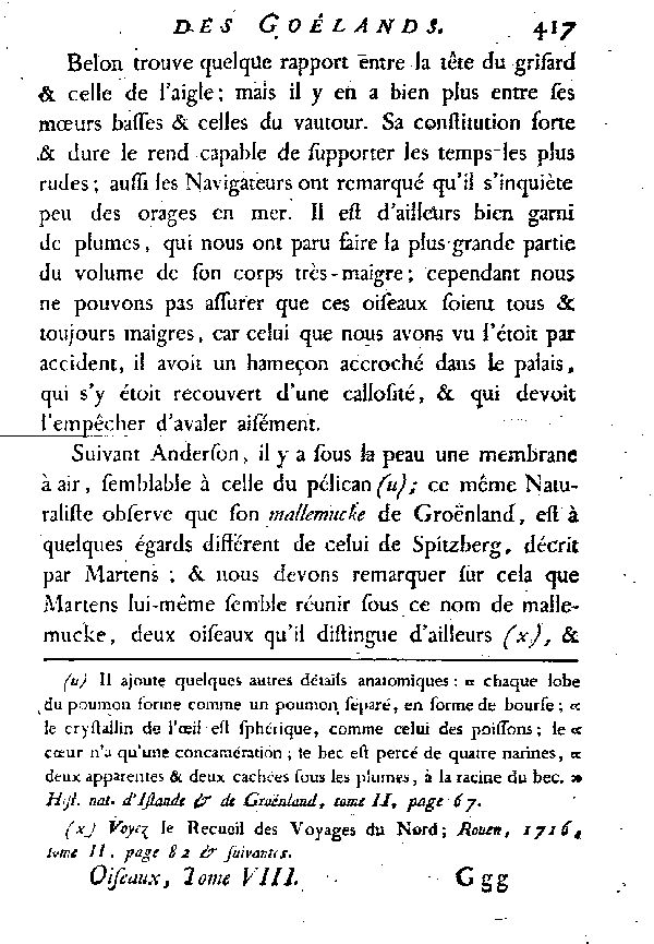 Le Goéland varié ou le Grisard.