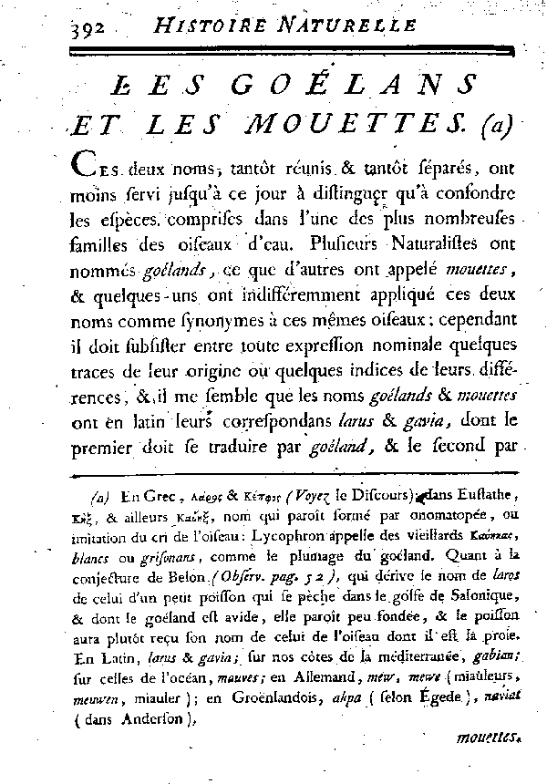 LES GOéLANDS et LES MOUETTES.