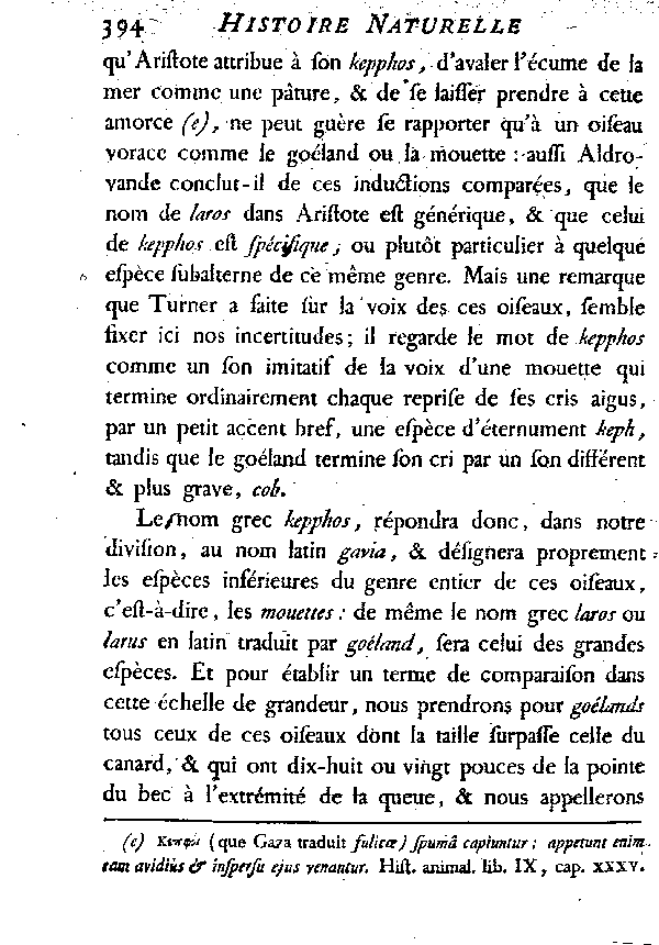 LES GOéLANDS et LES MOUETTES.