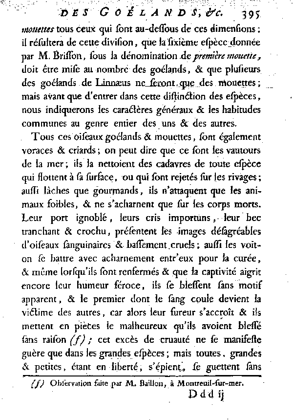 LES GOéLANDS et LES MOUETTES.