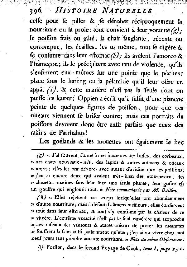 LES GOéLANDS et LES MOUETTES.