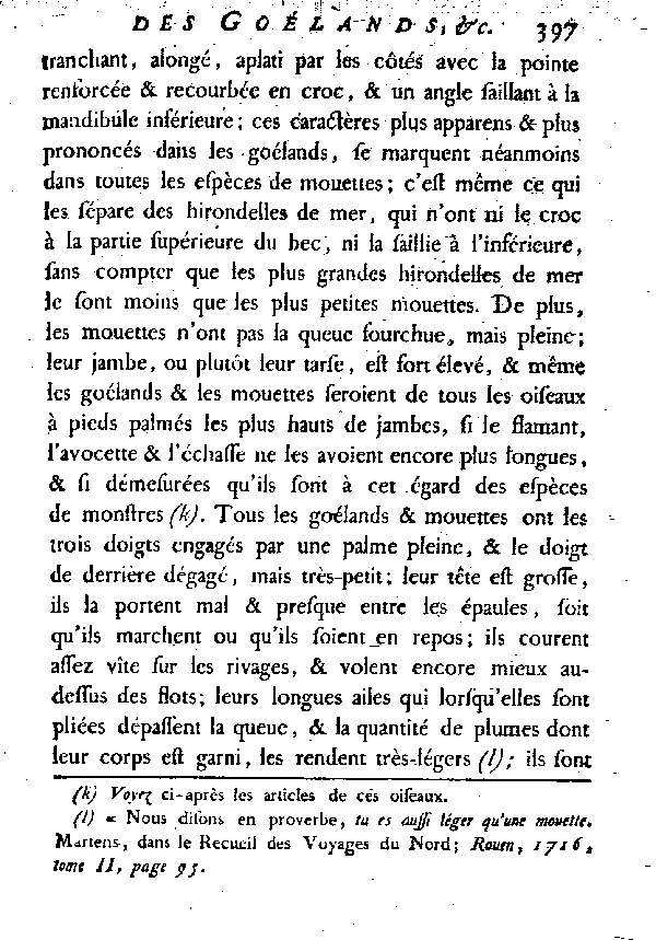 LES GOéLANDS et LES MOUETTES.