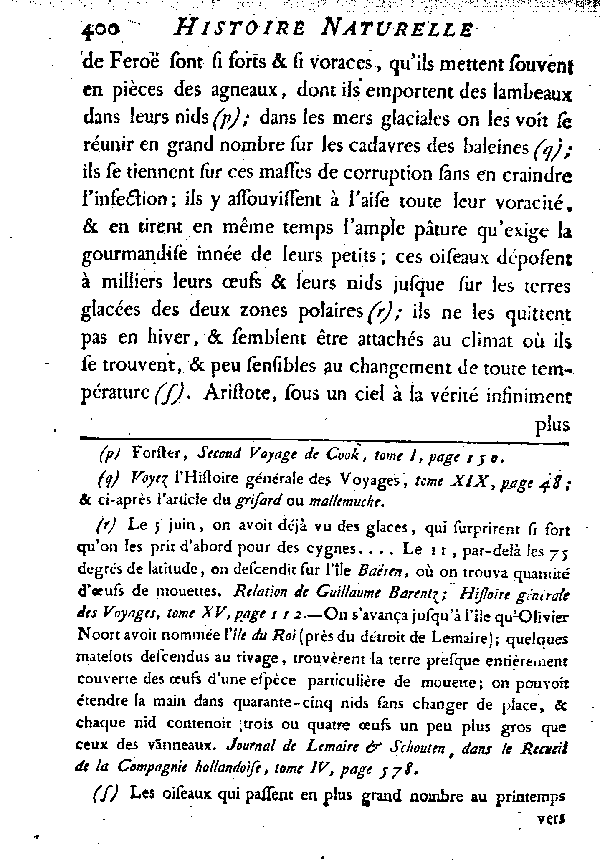 LES GOéLANDS et LES MOUETTES.