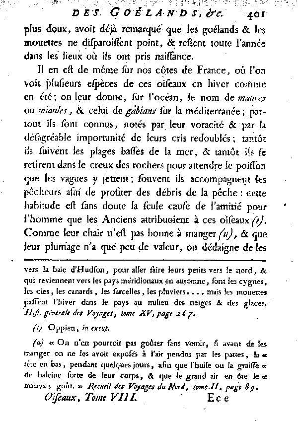 LES GOéLANDS et LES MOUETTES.