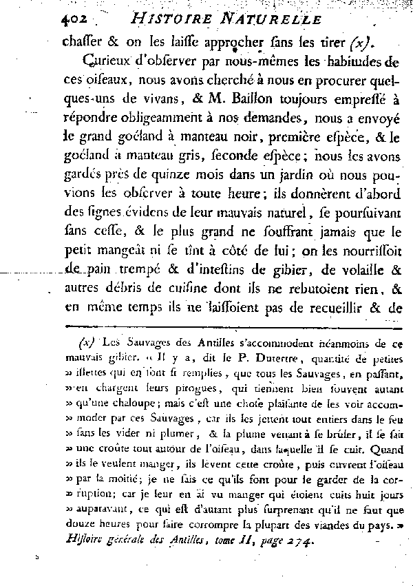 LES GOéLANDS et LES MOUETTES.