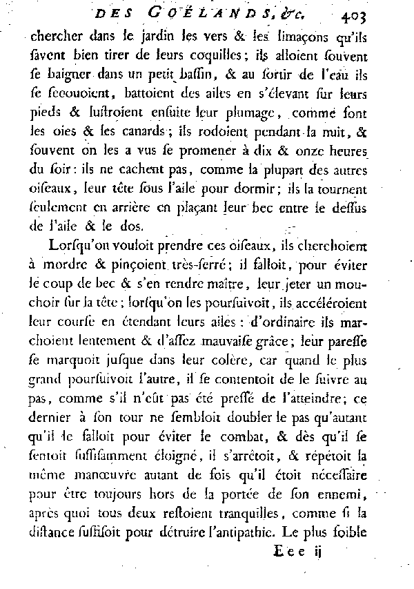 LES GOéLANDS et LES MOUETTES.