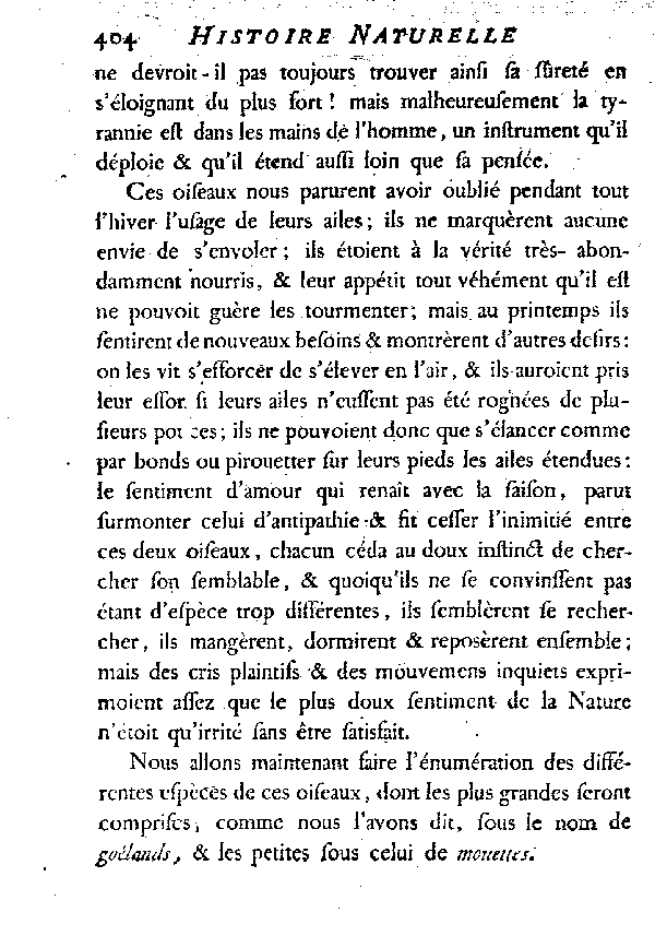 LES GOéLANDS et LES MOUETTES.