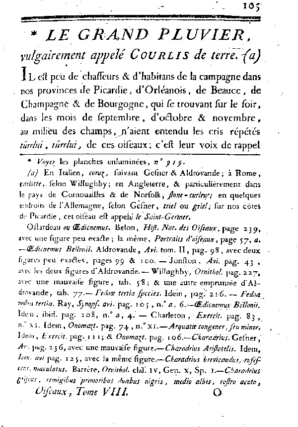 LE GRAND PLUVIER, vulgairement appelé COURLIS de terre.