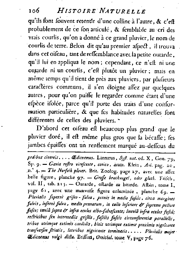 LE GRAND PLUVIER, vulgairement appelé COURLIS de terre.