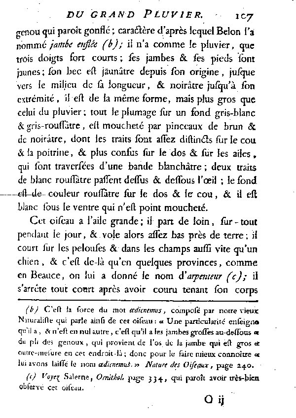 LE GRAND PLUVIER, vulgairement appelé COURLIS de terre.