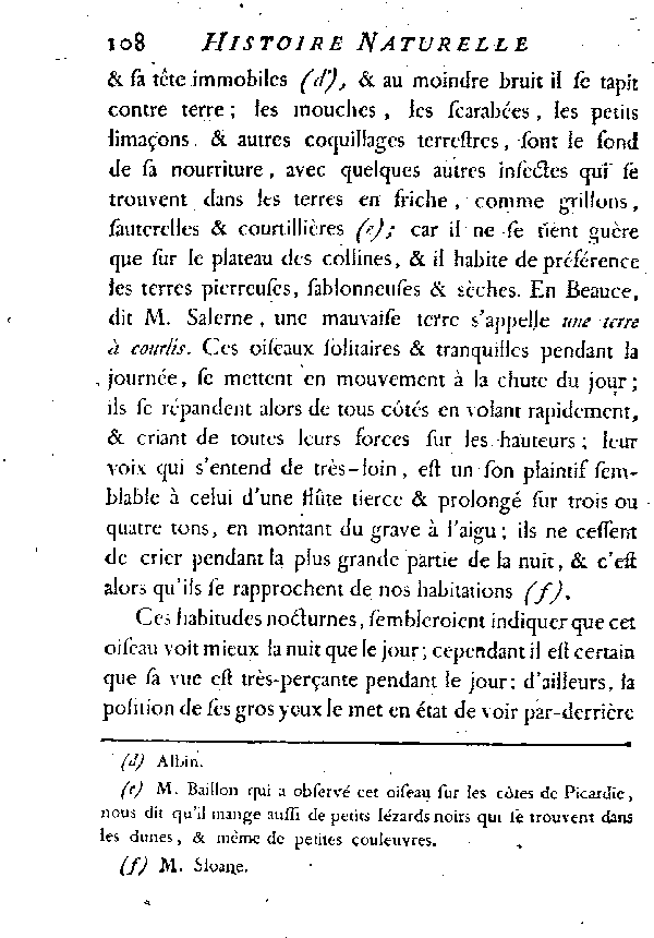 LE GRAND PLUVIER, vulgairement appelé COURLIS de terre.