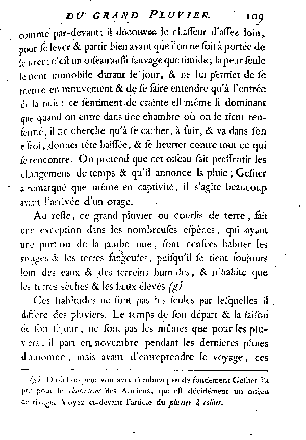 LE GRAND PLUVIER, vulgairement appelé COURLIS de terre.