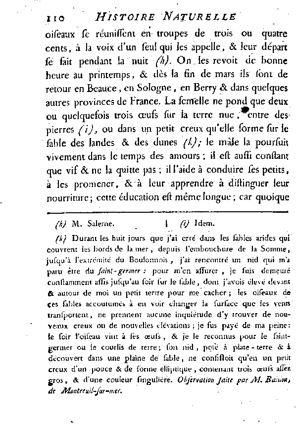 LE GRAND PLUVIER, vulgairement appelé COURLIS de terre.